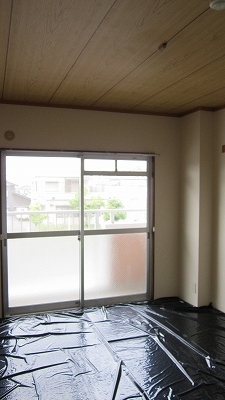 Living and room