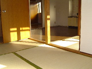 Living and room