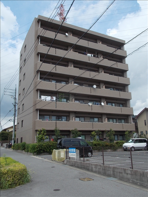 Building appearance