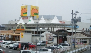 Supermarket. Meguria 200m to head office (super)