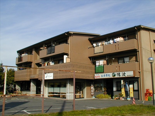 Building appearance
