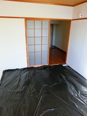 Living and room
