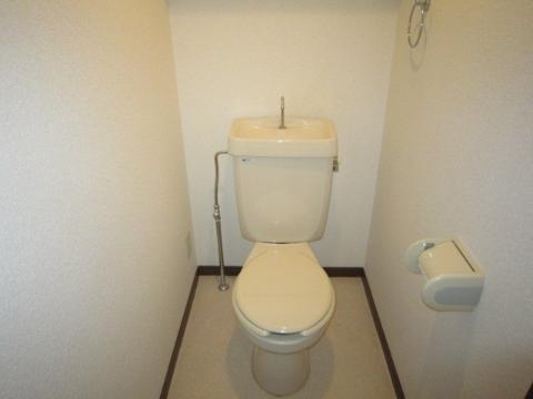 Toilet. WC