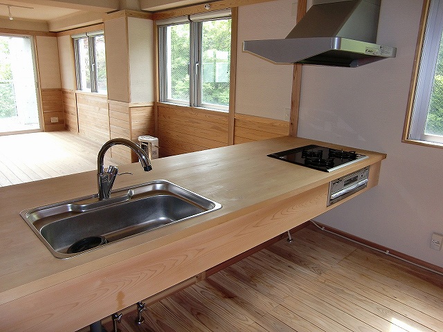 Kitchen. Kitchen