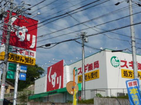Other. Cedar pharmacy Kanda to (other) 668m