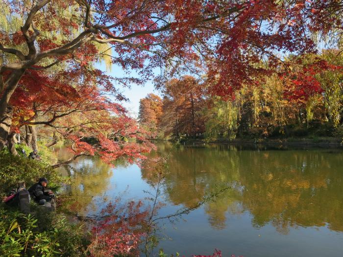 Other. Is Shakujii Park of the surrounding environment