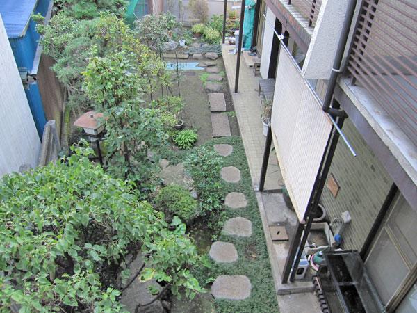 Garden. Local (10 May 2012) shooting