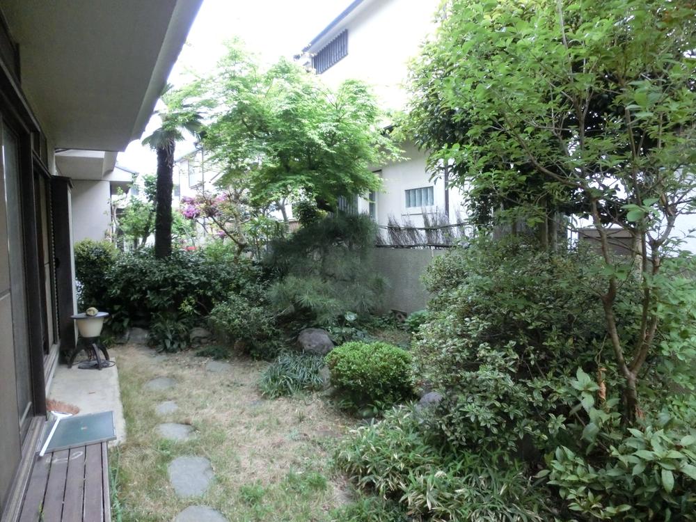 Garden. Local (12 May 2013) Shooting