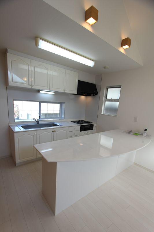 Kitchen. Shakujii Park Detached